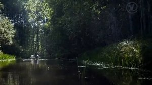 Белые ночи почтальона Алексея Тряпицына  2014 на drupich net