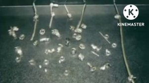 Карри Блейк, Хирургический металл вышел из тела   (Отрывок из семинара _Новый человек_,)