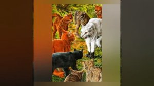 топ 5 котов воителей незаслужено попавшие в звёздное племя