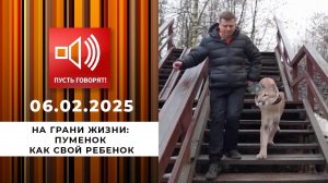 На грани жизни. Эпизод 7. Пуменок как свой ребенок. Пусть говорят. Выпуск от 06.02.2025