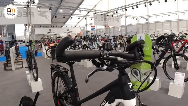 Pegasus Premio Evo 12 Lite Cross (2021) [cross trekking pedelec] - Ambringa Ebike Videók