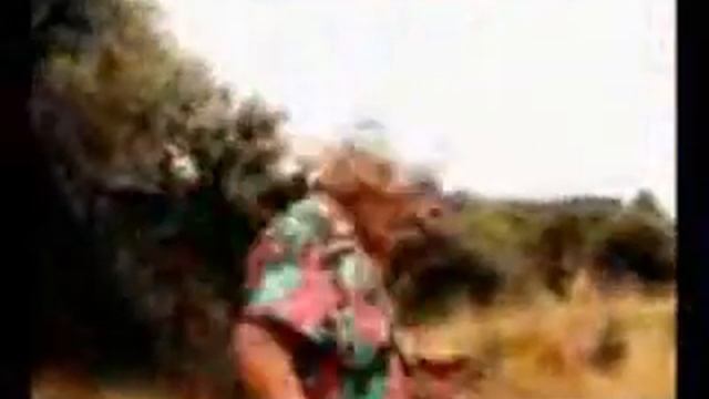 dilanggar keretapi смотреть онлайн