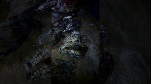 охота в эвенкии 4 серия первый соболь