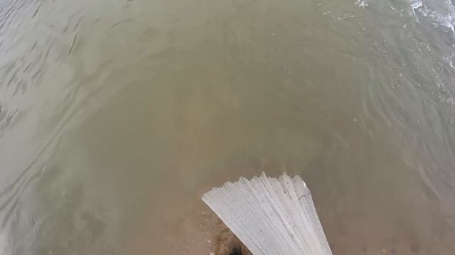 БРАКОНЬЕР? Трудности рыбалки на кастинговую сеть. море или река? #fishing #рыбалка