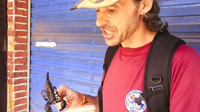 GUILIN CHINA | Eating Giant Scorpion | Frugal Travellers First Video
