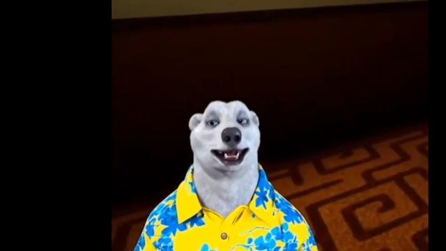 белый медведь|27 ноября мем смотреть онлайн