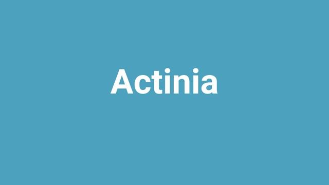 'Actinia' Meaning and Pronunciation смотреть онлайн