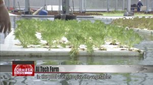 Tech farm grows vegetables in AI-controlled pool of water instead of soil｜Taiwan News