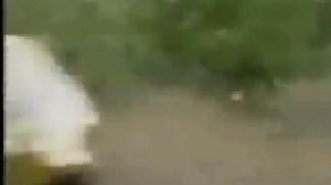 Testy VW - Das Auto