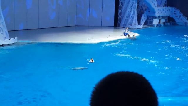 Москвариум 2017(9) смотреть онлайн