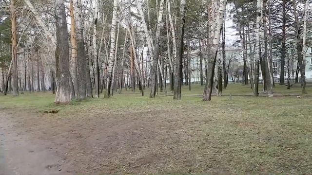 Сибирские просторы. Утро. Бассейн. Нервная сорока. смотреть онлайн