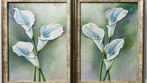 Картины Цветы Живопись Цветы Маслом Белая Калла Цветок