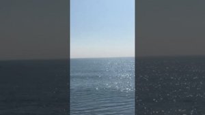Манок Кынат в работе!