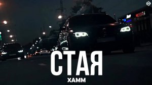 Xamm - Стая (Премьера, 2025)