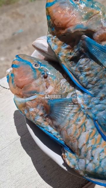 Parrotfish #food #fish #viral смотреть онлайн