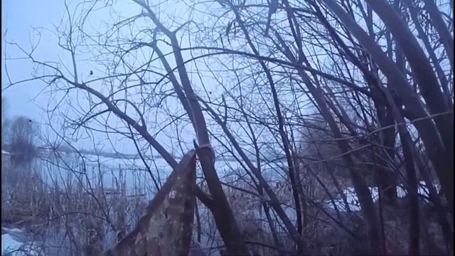 Самая быстрая охота. Охота с подсадной. #охота #охотанауток #охотасподсадными