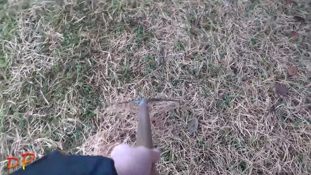 Cосны -- это не только целительная красота, но и 3-4 мешка в месяц опавших хвоинок и шишек! смотреть онлайн