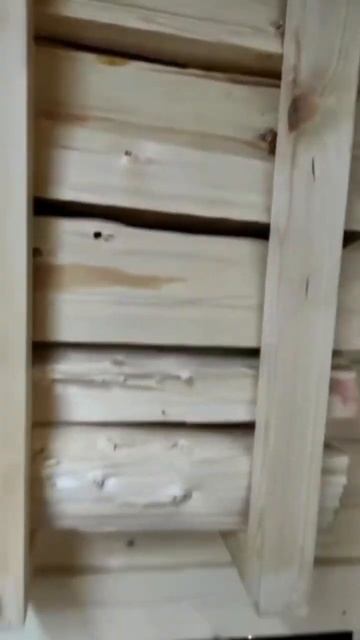 1 декабря 2022 г.