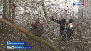 ГТРК СЛАВИЯ Сотрудники МЧС помогают энергетикам  06.02.25