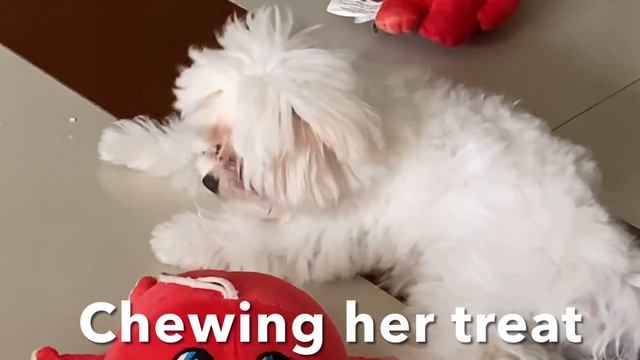 (Vlog-24) Khloe:”What I Eat” смотреть онлайн