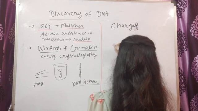 #3 |Molecular basis of inheritance class 12 |Deoxypolynucleotide chain | DNA Double Helix Model |