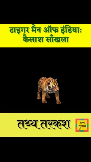 टाइगर मैन ऑफ इंडिया | कैलाश साँखला | Kailash Sankhala | International Tiger Day 2021 #Shorts