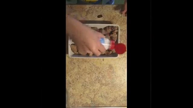 "Свинина в сливочном соусе " смотреть онлайн