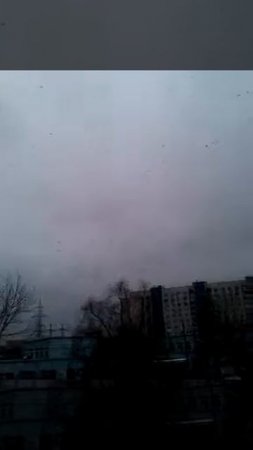 Нашествие пернатых