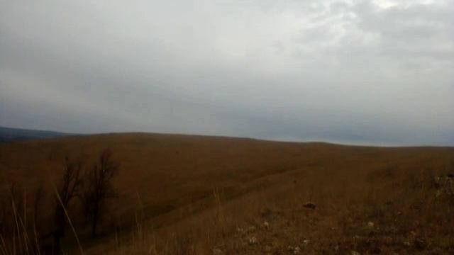 Горные зайцы в сочельник