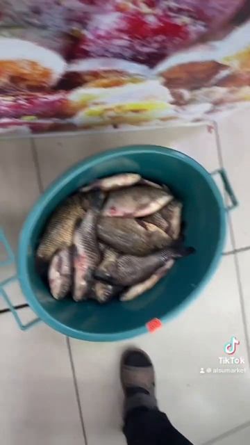 Свежий карп карась в магазине ALSU смотреть онлайн