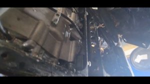 How to change Oil & Filter in a [2023] Yamaha Kodiak 700!!