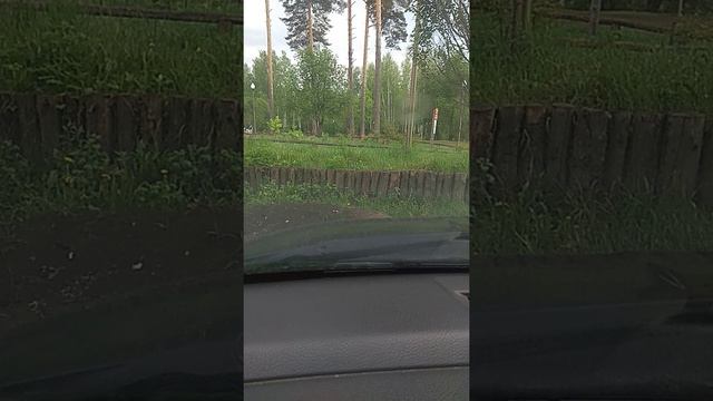Армянские блогеры умоляют иранцев.