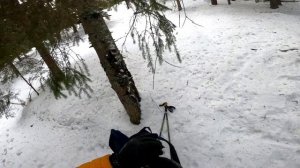 Mini ski skates Мини лыжи Snowfeet TEST по лесу