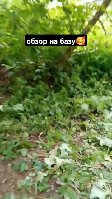 мы только сегодня убрали листья завтра будет наверное обустраивать базу😃 смотреть онлайн