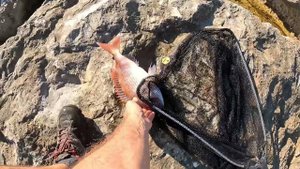 Rock fishing croatia
