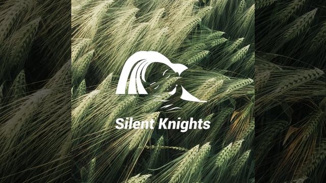 Shhh Busy Crowd смотреть онлайн