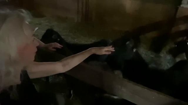 Сельское хозяйство и пальма🦠