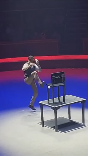 ИМПЕРИЯ ЛЬВИЦ НОВАЯ ШОУ ПРОГРАММА БРЯНСК (ЦИРК) ФЕВРАЛЬ 2025 ГОД