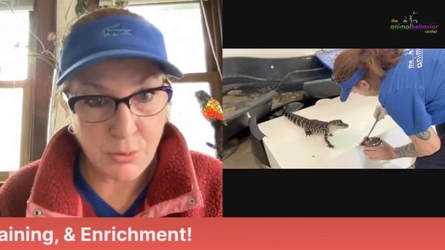 Coffee With the Critters™ - Q&A смотреть онлайн