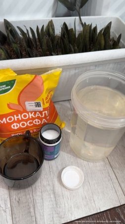 Этот ЭЛИКСИР ТВОРИТ ЧУДЕСА! ЗАМИОКУЛЬКАС БУДЕТ РАСПИРАТЬ ГОРШОК #замиокулькас #удобрение #цветы