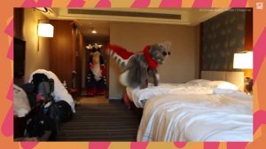 Лает, кусает – спортсмен так играет: кто такие квадроберы