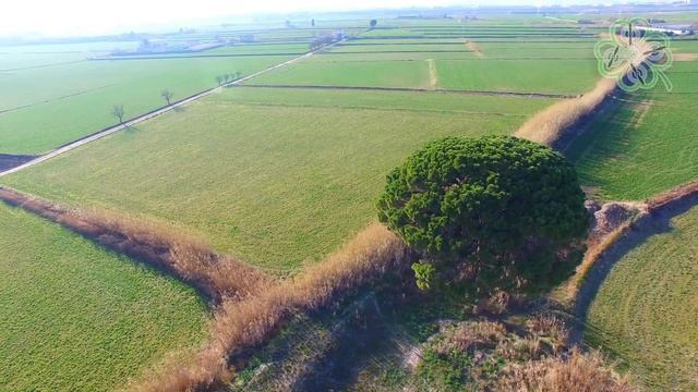 Azud de Urdan смотреть онлайн