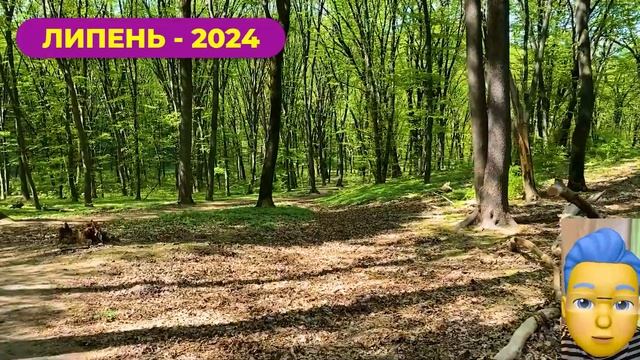 Липень ЗДИВУЄ всю країну! Погода в липні 2024. Погода ЛИПЕНЬ 2024 від Українчика