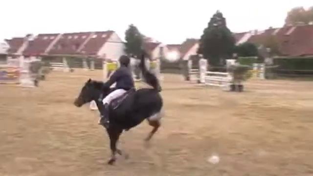 Morgan et Osiris - Dimanche 31 Octobre 2010 - D2 Ponam смотреть онлайн