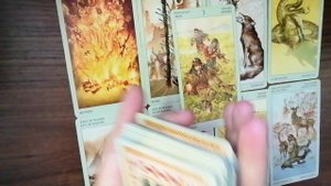 Жена Макрона мальчик или девочка? Шутливый ролик!