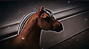 клип лошадей Шляйх