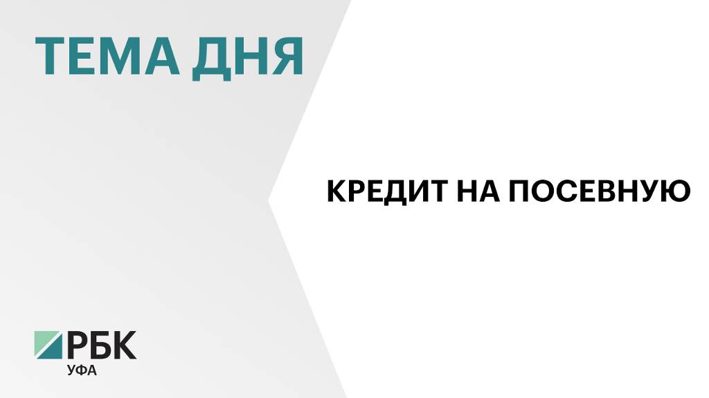 Более ₽360 млн льготных займов выдали аграриям республики на посевную с начала года