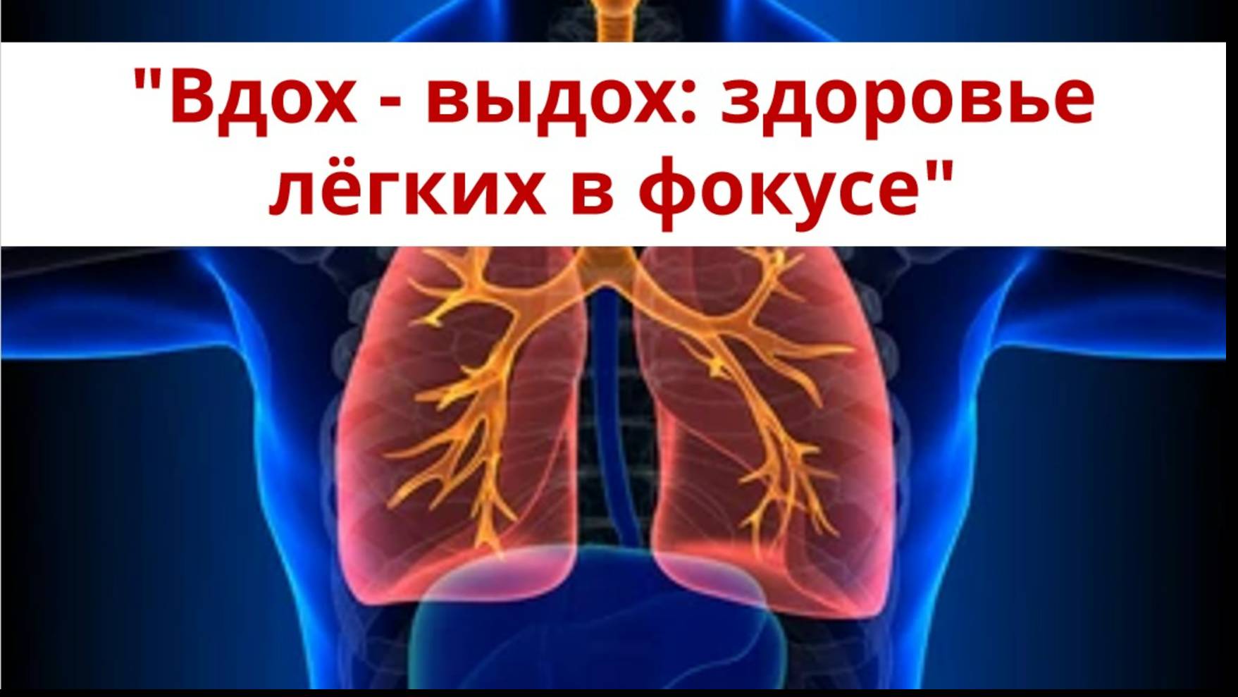 Здоровье лёгких в фокусе.