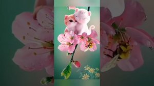 1000174308.mp4