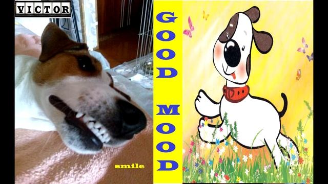 HITMAKER [dj/singer] - GOOD MOOD / ГАРНИЙ НАСТРІЙ (Official audio 2018) смотреть онлайн